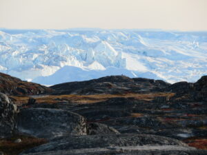 IMG_0959